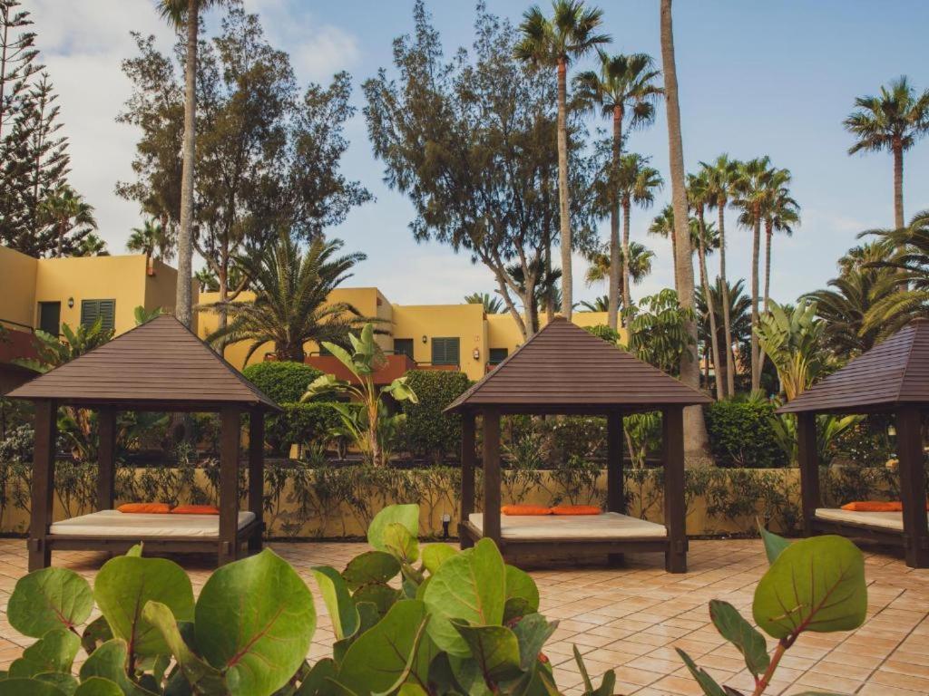 Pachi Beach Atlantic Garden Corralejo Eksteriør billede