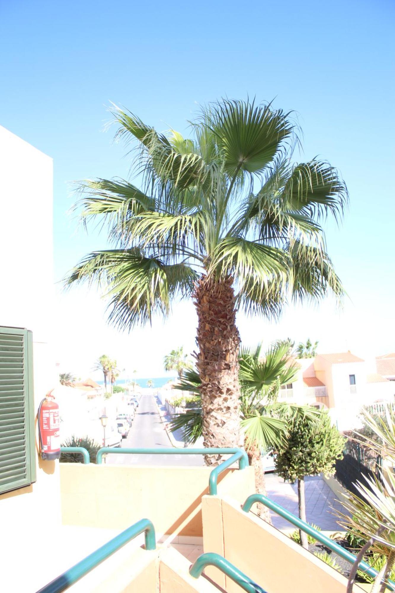 Pachi Beach Atlantic Garden Corralejo Eksteriør billede